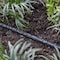 Raindrip Raindrip Polyethylene Drip Irrigation Soaker Tubing 1/4 in. D X 50 ft. L 015005T - alternate 3